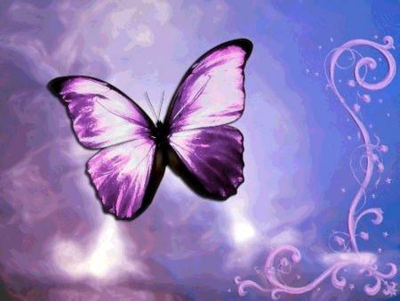 Missy Butterfly